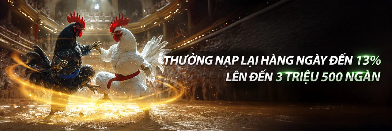 Đấu trường đá gà trực tuyến sôi động tại fu88 xổ số